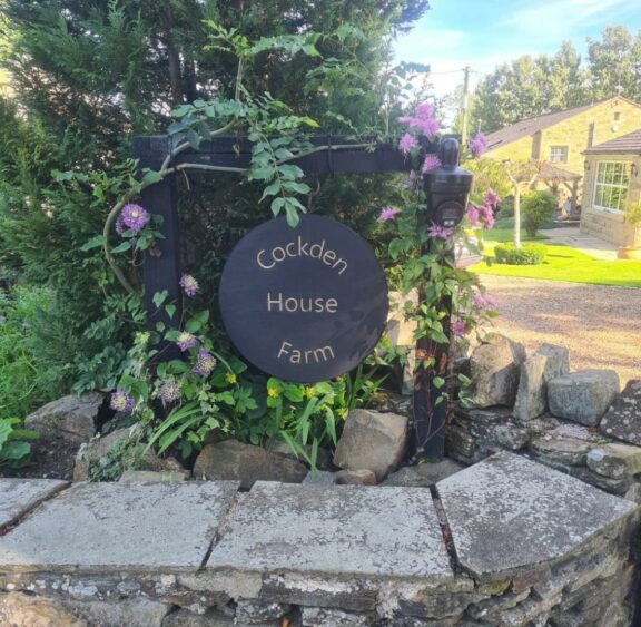 Property Image 58