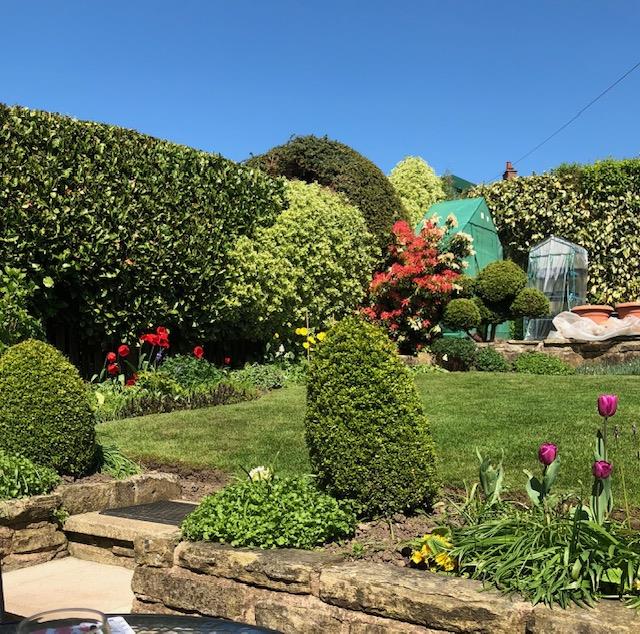 Property Image 13