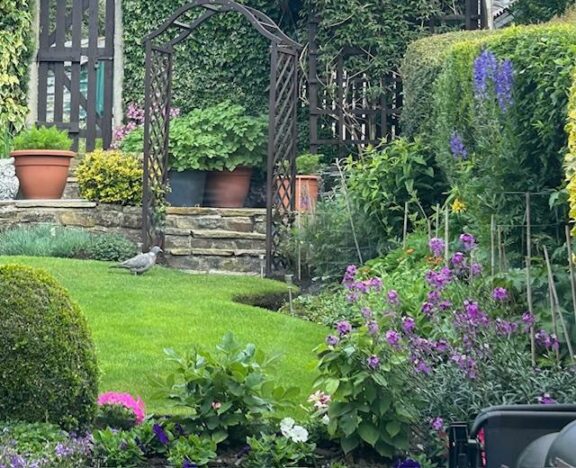 Property Image 15