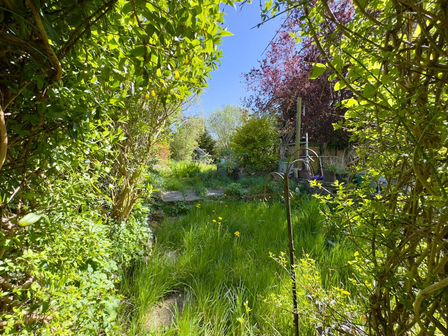 Property Image 21