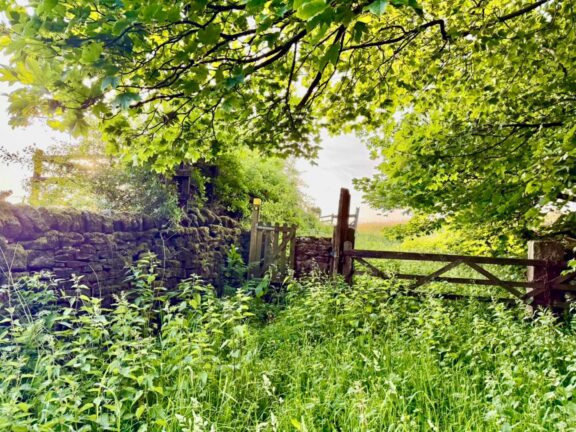 Property Image 63