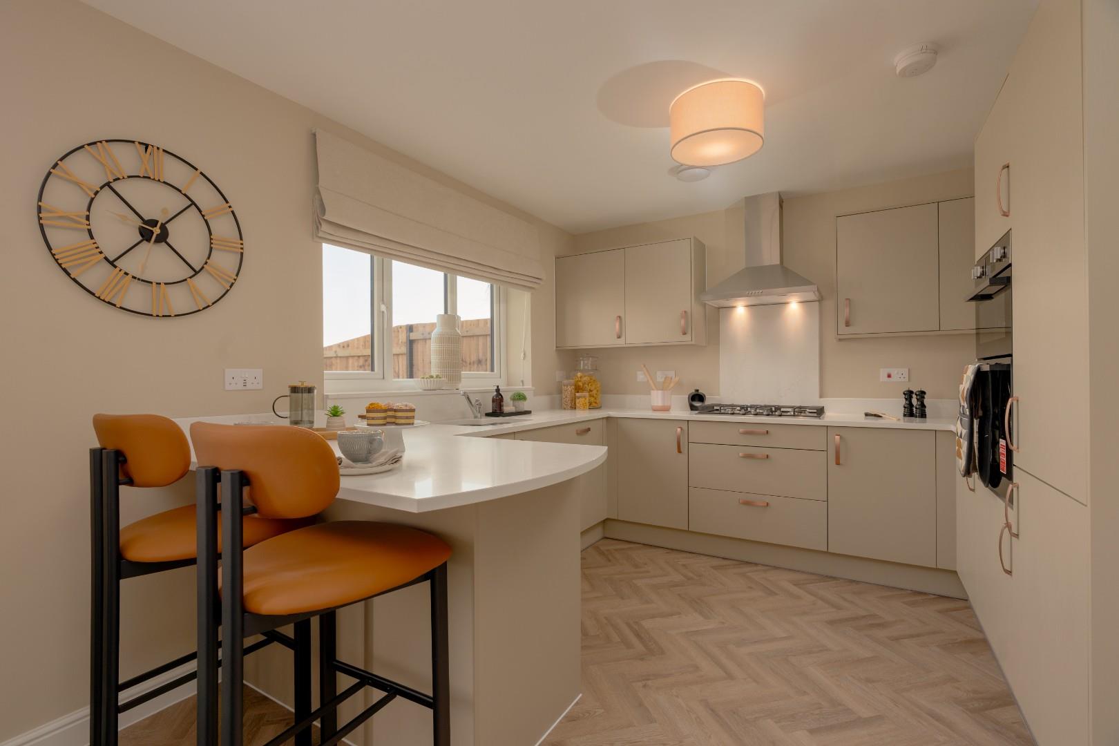 Plot 10, Millrigg Image